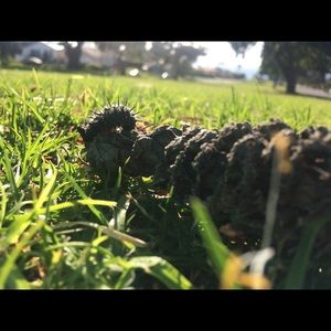 Meet your Posher, Kay